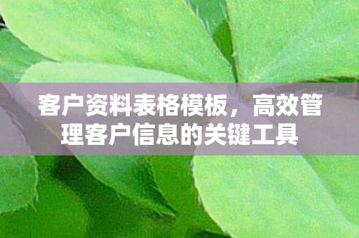 高效管理客户信息的关键工具图片