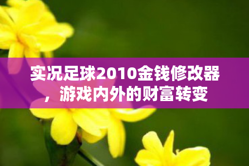 实况足球2010金钱修改器图片