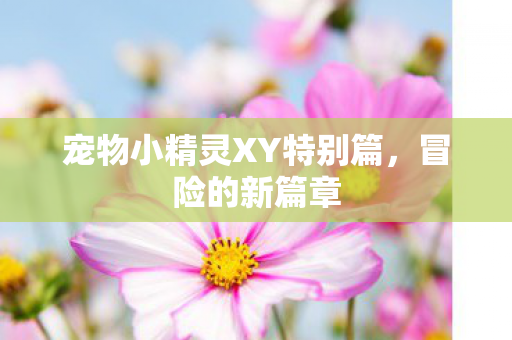 宠物小精灵XY特别篇图片