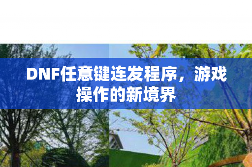 DNF任意键连发程序图片