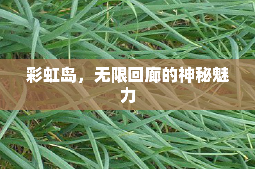 无限回廊的神秘魅力图片