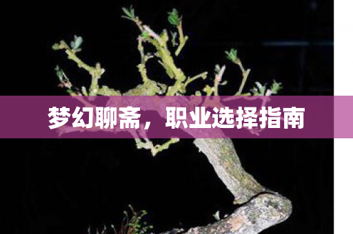 职业选择指南图片