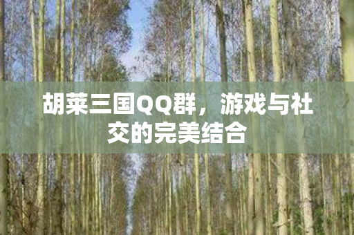游戏与社交的完美结合图片