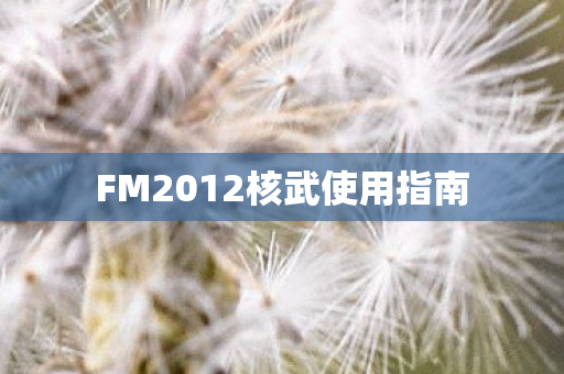 FM2012核武使用指南图片