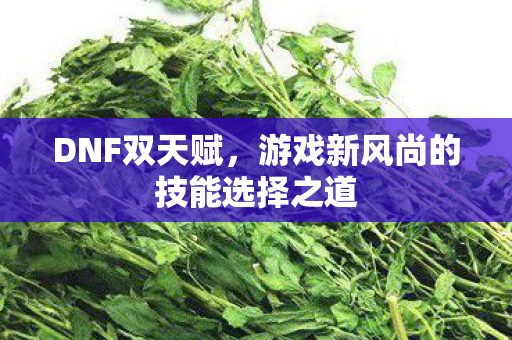 游戏新风尚的技能选择之道图片