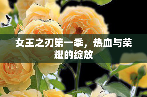 热血与荣耀的绽放图片