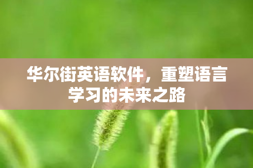 重塑语言学习的未来之路图片