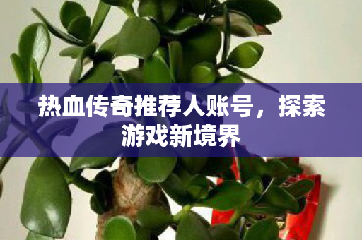 热血传奇推荐人账号图片