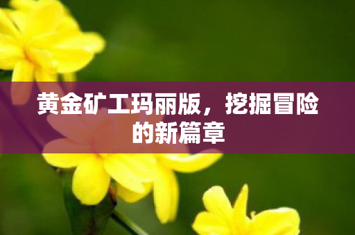 挖掘冒险的新篇章图片