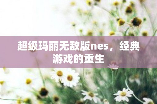 超级玛丽无敌版nes图片