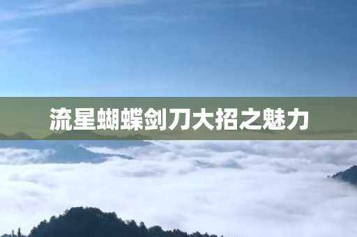 流星蝴蝶剑刀大招之魅力图片