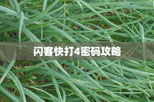 闪客快打4密码攻略图片