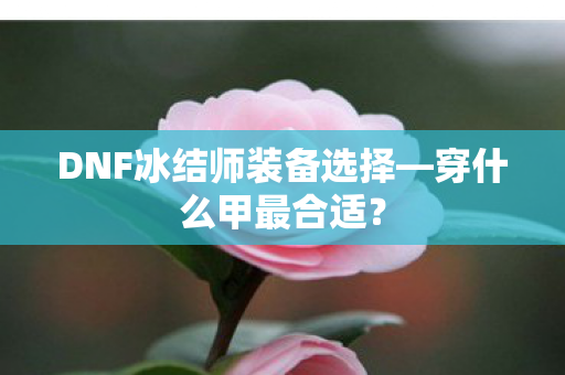 DNF冰结师装备选择图片
