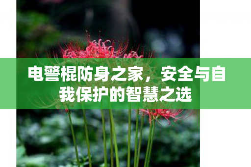 安全与自我保护的智慧之选图片