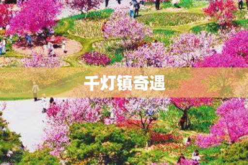 千灯镇奇遇图片
