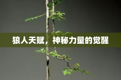 神秘力量的觉醒图片
