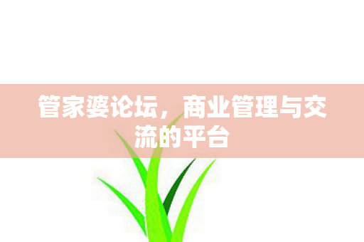 商业管理与交流的平台图片