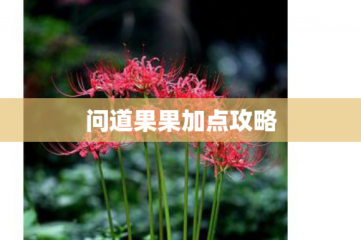 问道果果加点攻略图片