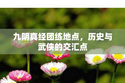 历史与武侠的交汇点图片