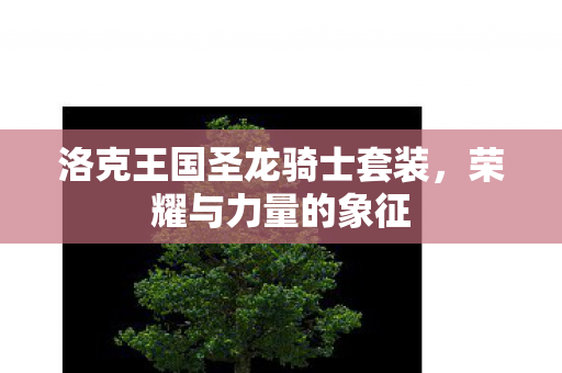 洛克王国圣龙骑士套装图片
