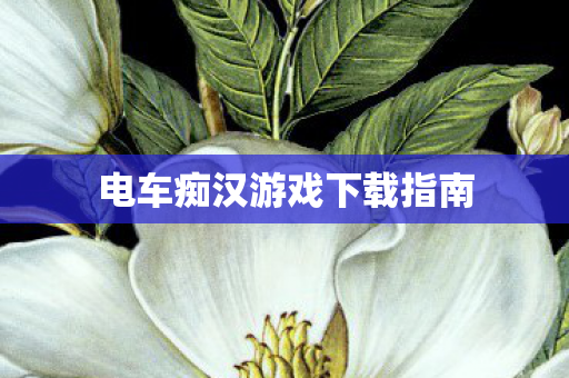电车痴汉游戏下载指南图片