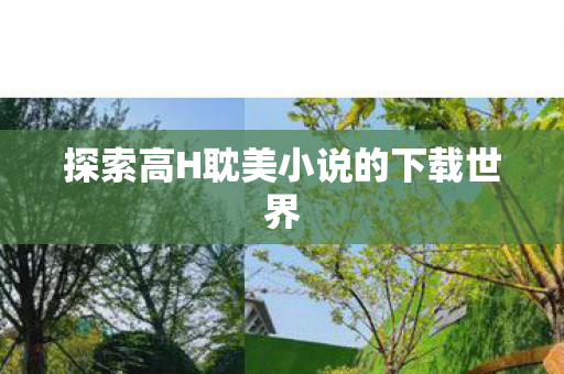 探索高H耽美小说的下载世界图片