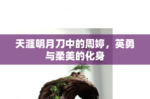 天涯明月刀中的周婷图片