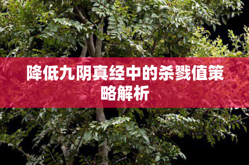 降低九阴真经中的杀戮值策略解析图片