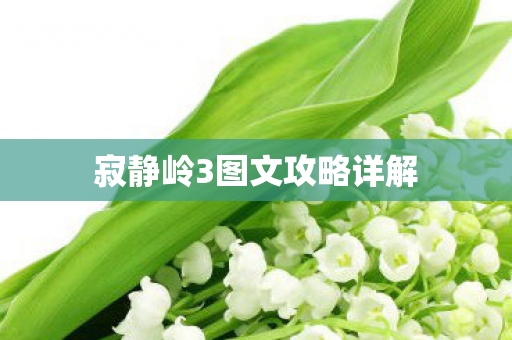 寂静岭3图文攻略详解图片
