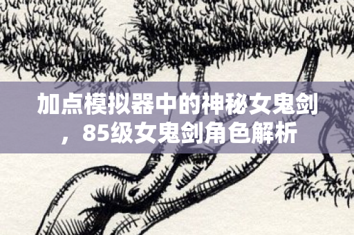 加点模拟器中的神秘女鬼剑图片