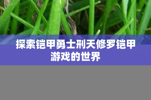探索铠甲勇士刑天修罗铠甲游戏的世界图片