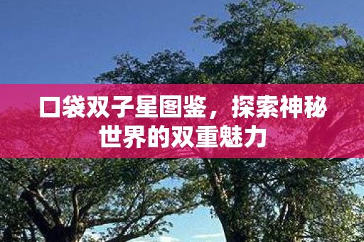 探索神秘世界的双重魅力图片