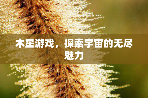 探索宇宙的无尽魅力图片