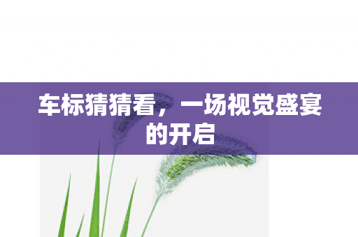 一场视觉盛宴的开启图片