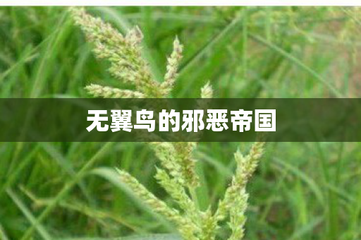 无翼鸟的邪恶帝国图片