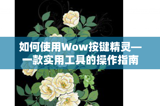 如何使用Wow按键精灵图片