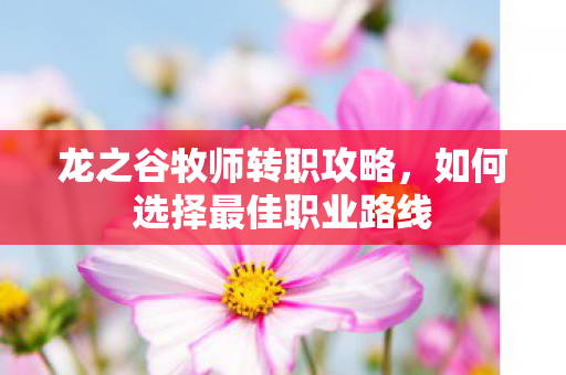 如何选择最佳职业路线图片