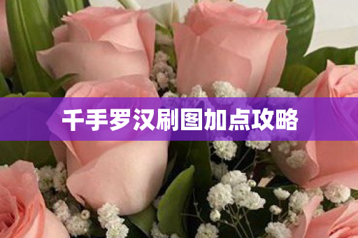 千手罗汉刷图加点攻略图片