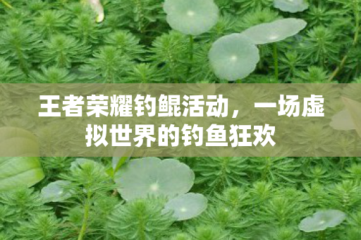 一场虚拟世界的钓鱼狂欢图片