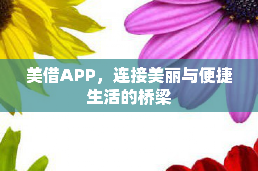连接美丽与便捷生活的桥梁图片