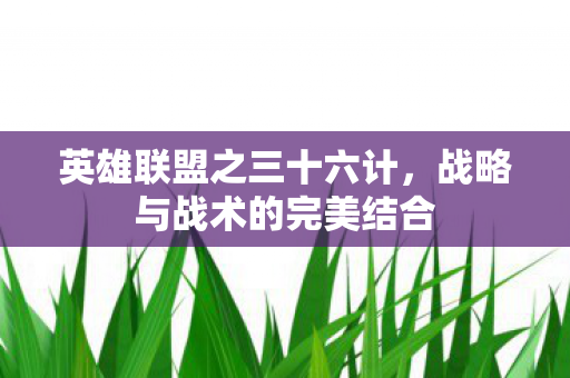 战略与战术的完美结合图片