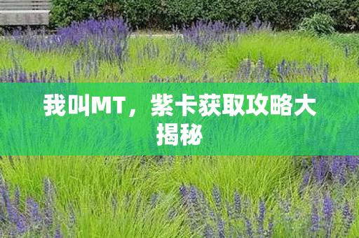 紫卡获取攻略大揭秘图片