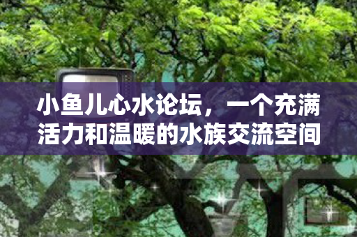 一个充满活力和温暖的水族交流空间图片