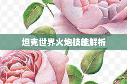 坦克世界火炮技能解析图片