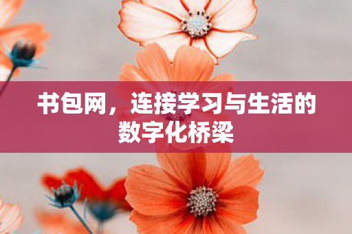 连接学习与生活的数字化桥梁图片