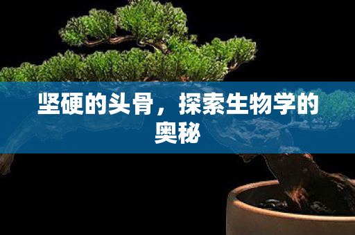 探索生物学的奥秘图片