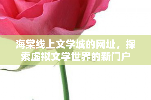 探索虚拟文学世界的新门户图片