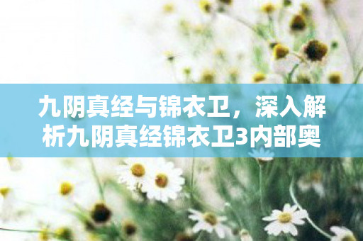 深入解析九阴真经锦衣卫3内部奥秘图片