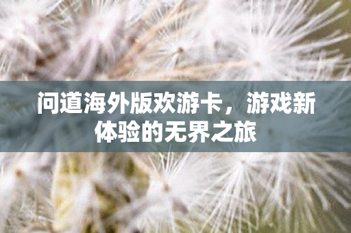 游戏新体验的无界之旅图片