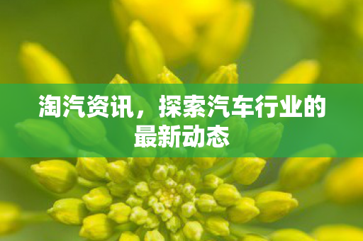 探索汽车行业的最新动态图片